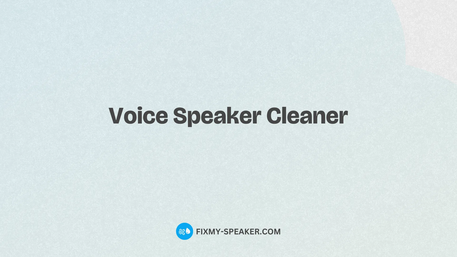 voice speaker cleaner